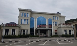 关联方旗下妇产医院破产清算 辅助生殖龙头上半年巨亏