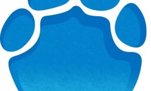 紫龙游戏回应“小伙出差抽中3000元显卡被告知要上交”：集团内公司均未参加此次展会，招聘网站遭恶意围攻，已报警