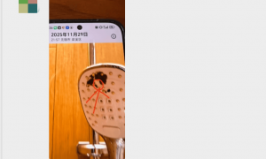 住客洗完澡后，发现酒店花洒上疑似有粪便？多方最新回应